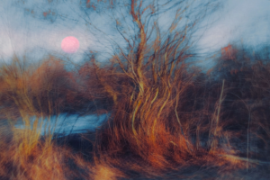 spiritual awakening premonition