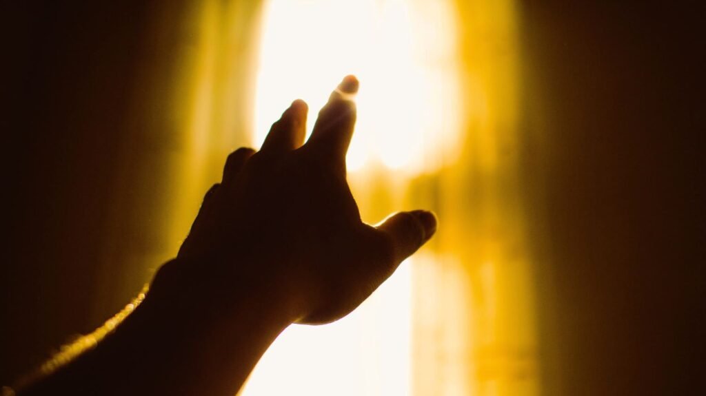 the science of near death experiences